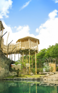 Attraktionen, Spielplatz, Robinie, Robinienholz