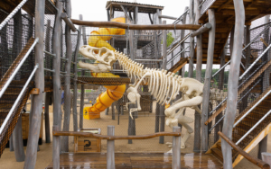 Attraktionen, Spielplatz, Robinie, Robinienholz